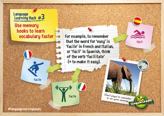 Pack of 12 printable posters on